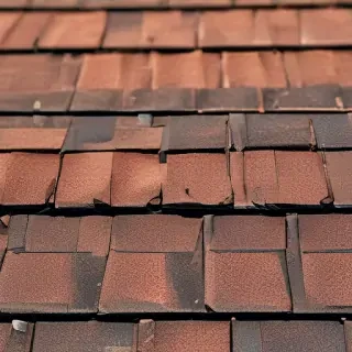 picture of shingles