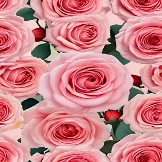 roses background aesthetic