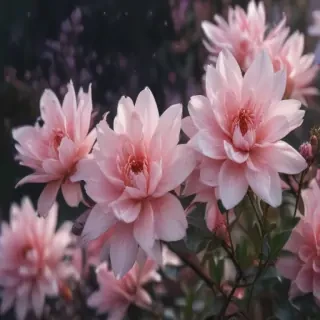 cute aesthetic wallpapers flowers