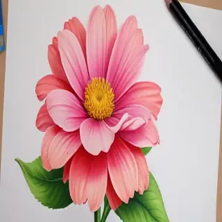 flower pictures to draw