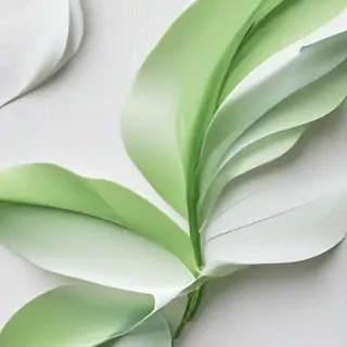 white and green background