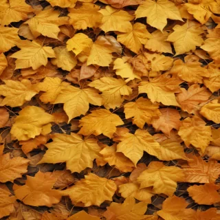 golden leaves background