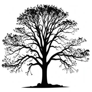 tree silhouette png