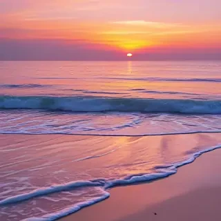 pink beach sunset