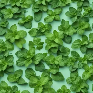 mint background