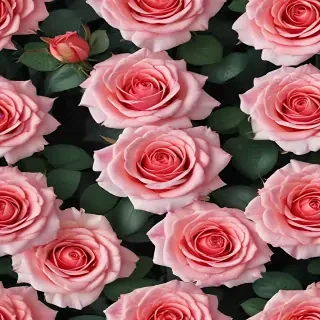 roses background