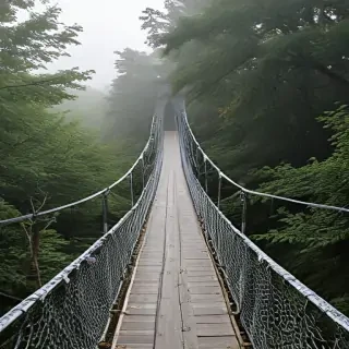 suspension bridge