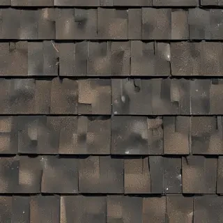 pictures of shingles