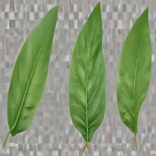 green leaf png