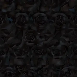 black roses background