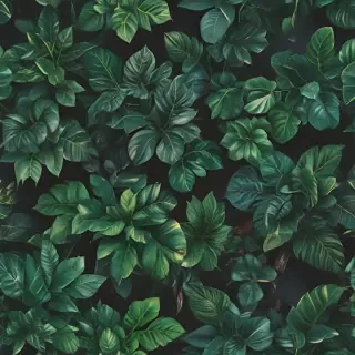 plants background iphone