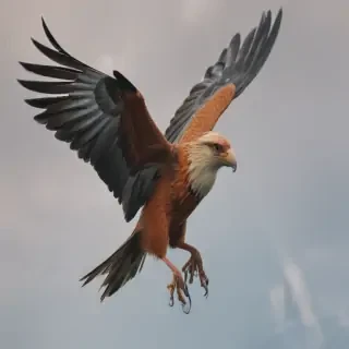 bird flying png