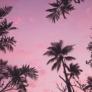 wallpapers for iphone aesthetic