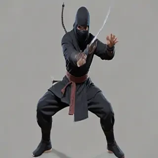 ninja png