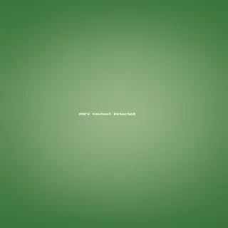 green background plain