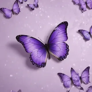 aesthetic purple butterfly