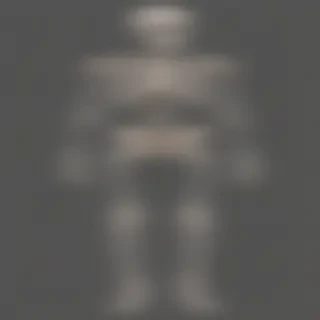 skeleton transparent
