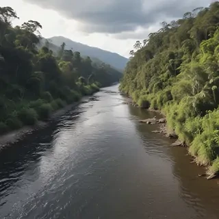 png river