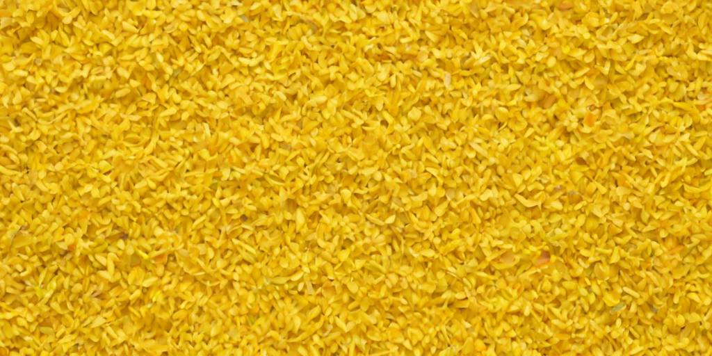aesthetic yellow background