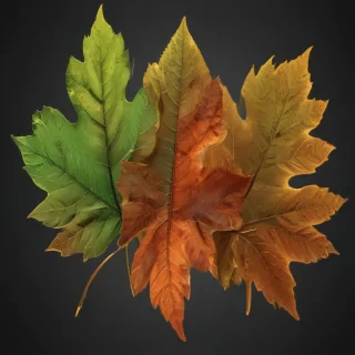 leaves no background