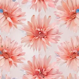 aesthetic flowers transparent