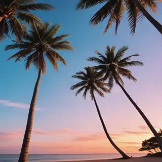 summer background iphone