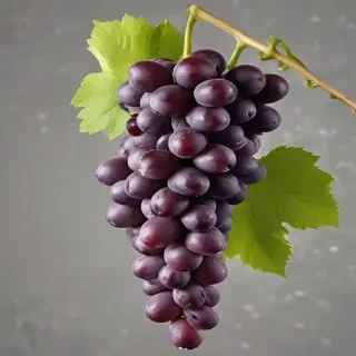 grapes png