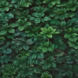 plants background
