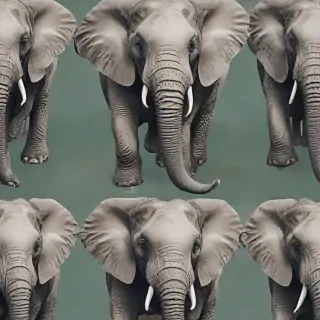 elephant background