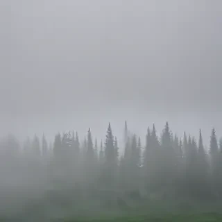 foggy background