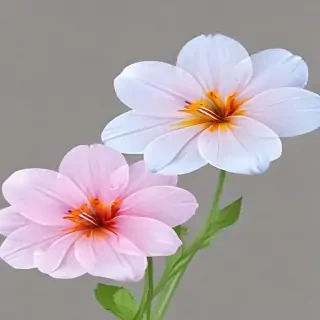 transparent flower background
