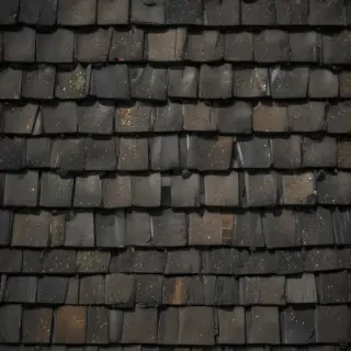 pictures of shingles