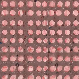 polka dot bg