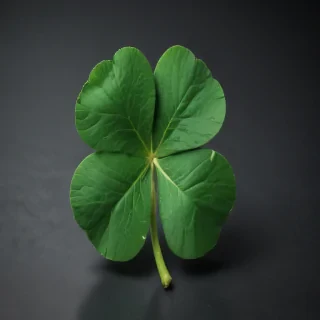 4 leaf clover