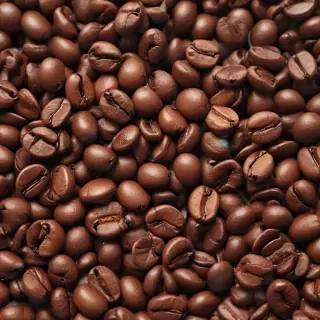 coffee beans png