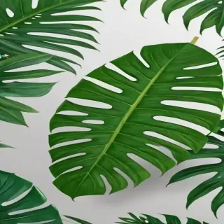 tropical leaf png