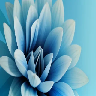 blue flower wallpaper aesthetic
