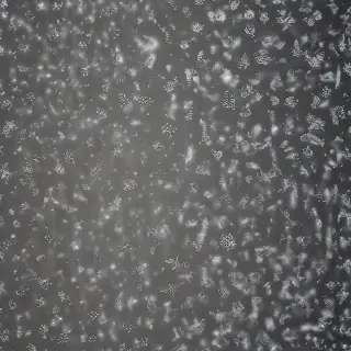snow overlay png