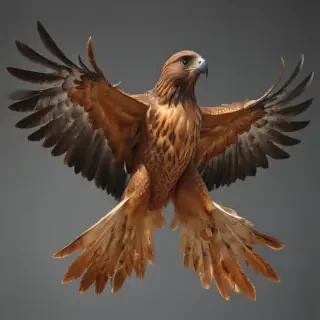 hawk png