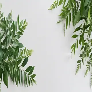 white and greenery background