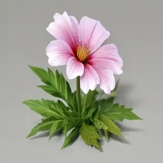 wild flower png