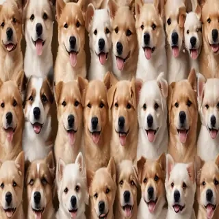backgrounds of cute dogs