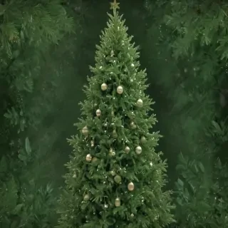 green christmas bg