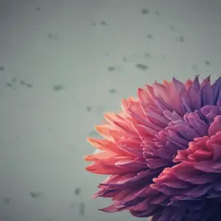 minimalistic wallpapers for iphone