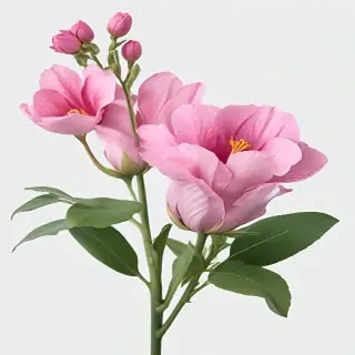 realistic flowers png