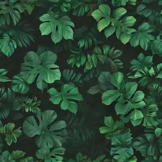 green background aesthetic