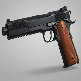 gun no background