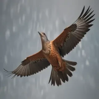 bird flying png