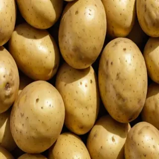 potato png