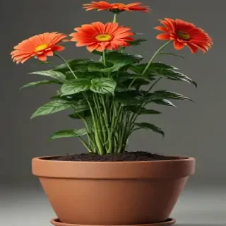 flower pot png